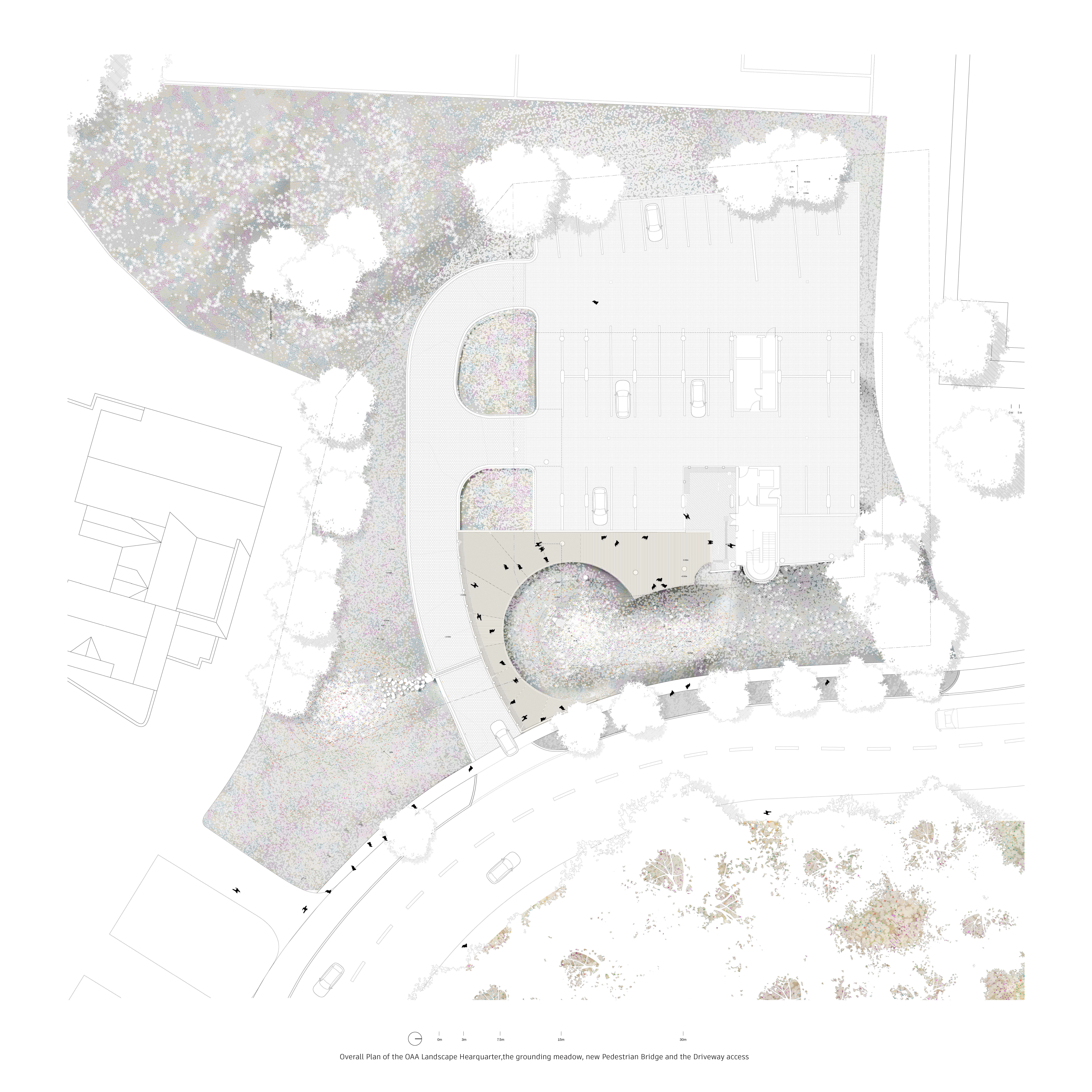 Overall site plan showing the OAA Headquarters building, curved pedestrian bridge, driveway access, and surrounding meadow landscape with pathways, trees, and parking areas.